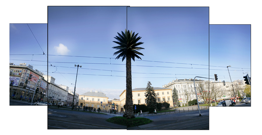 Joanna Rajkowska Pozdrowienia z Alej Jerozolimskich palma na rondzie de Gaulle'a